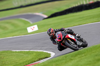 Evening Adv_Mid Group Multicolour Bikes